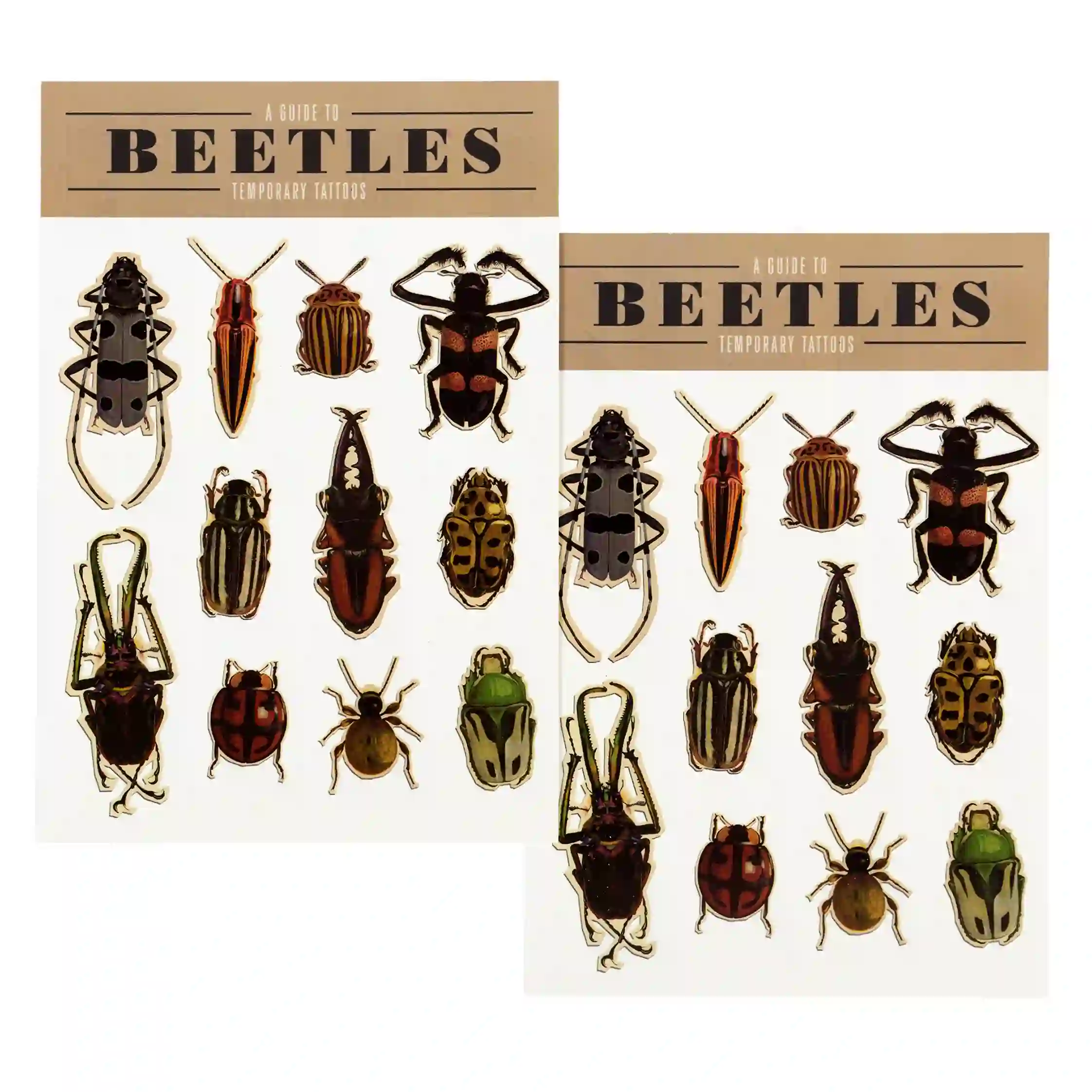 temporary tattoos - beetles