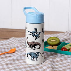 stainless steel bottle with push button lid 500ml - dinosaur