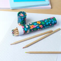 long tube of colouring pencils - fairies in the garden long tube of colouring pencils - fairies in the garden