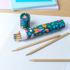 tube long de crayons de couleur - fairies in the garden