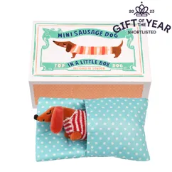 mini chien saucisse dans une petite boîte mini chien saucisse dans une petite boîte