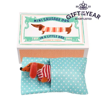 mini chien saucisse dans une petite boîte mini chien saucisse dans une petite boîte