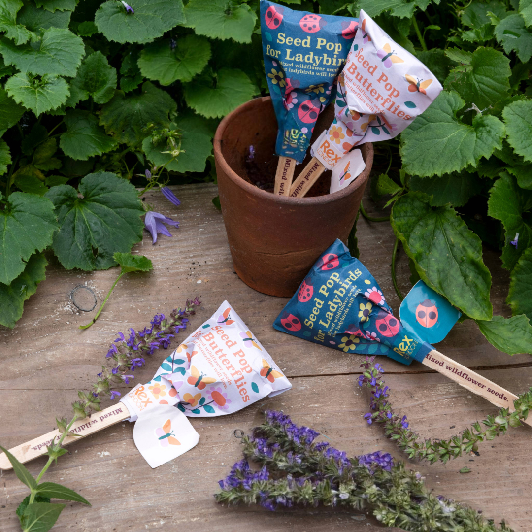 seed pops - wildflower seeds (assorted)