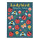 temporary tattoos - ladybird