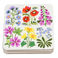 coasters (set of 4) - wild flowers