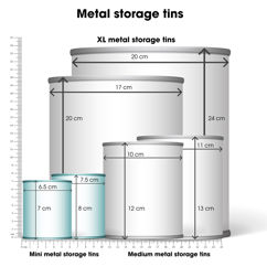 mini storage tins (set of 2) - fish