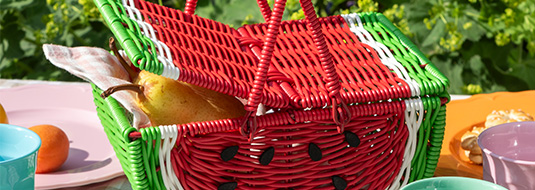 camping & picnic