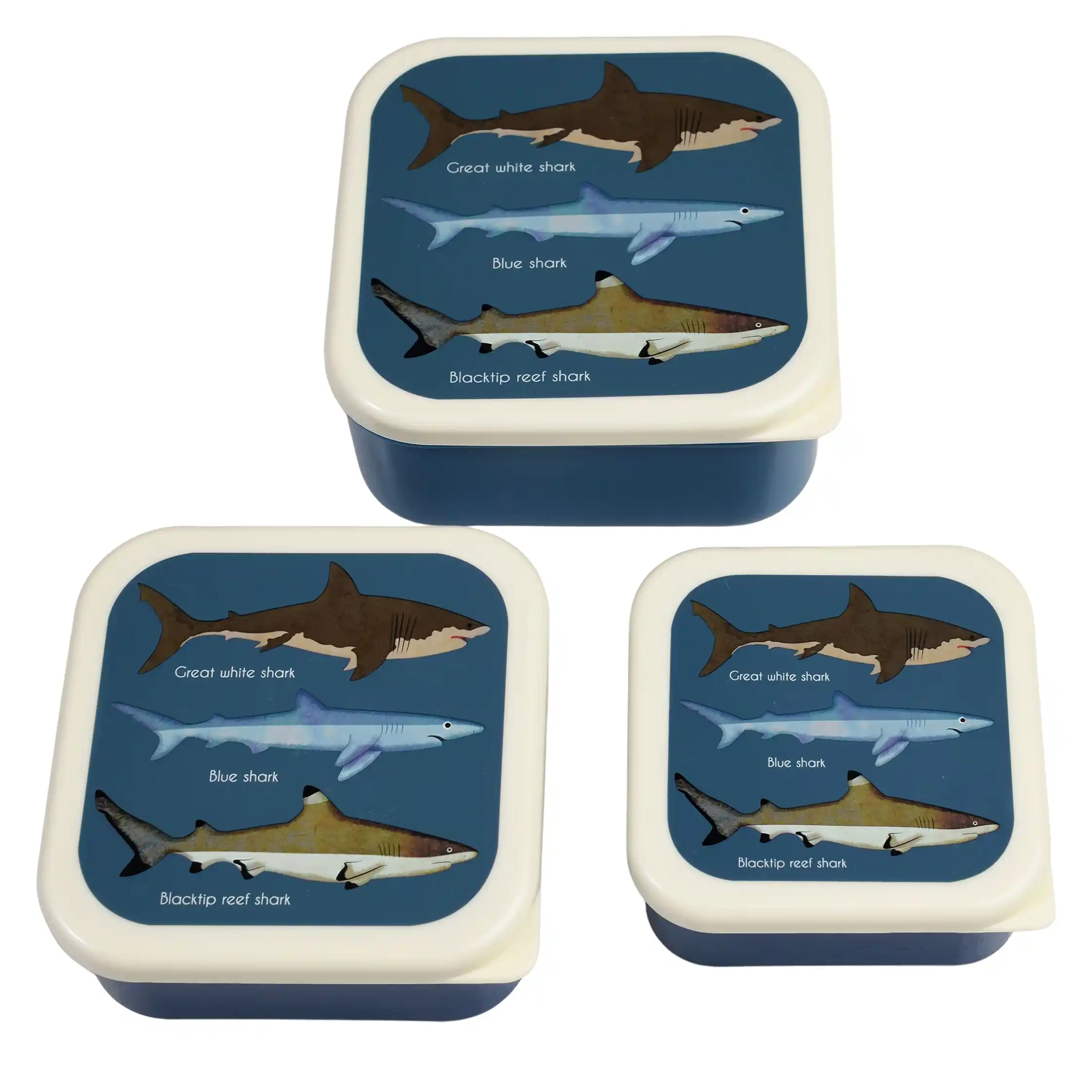 snack boxes (set of 3) - sharks