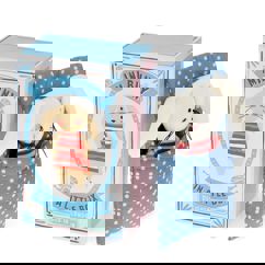 mini lapin dans une petite boîte