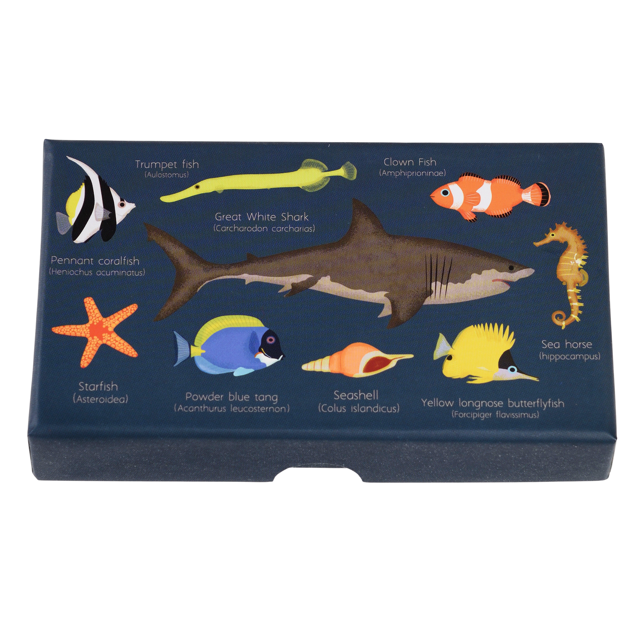 set of mini stamps - ocean animals