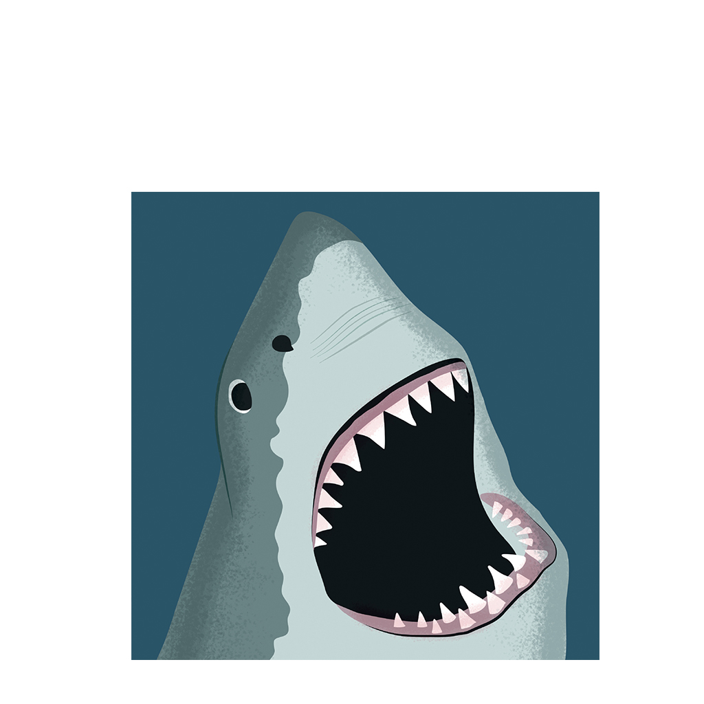 greetings card - shark