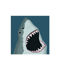 carte de voeux requins
