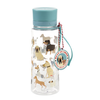 water bottle 600ml - best in show
