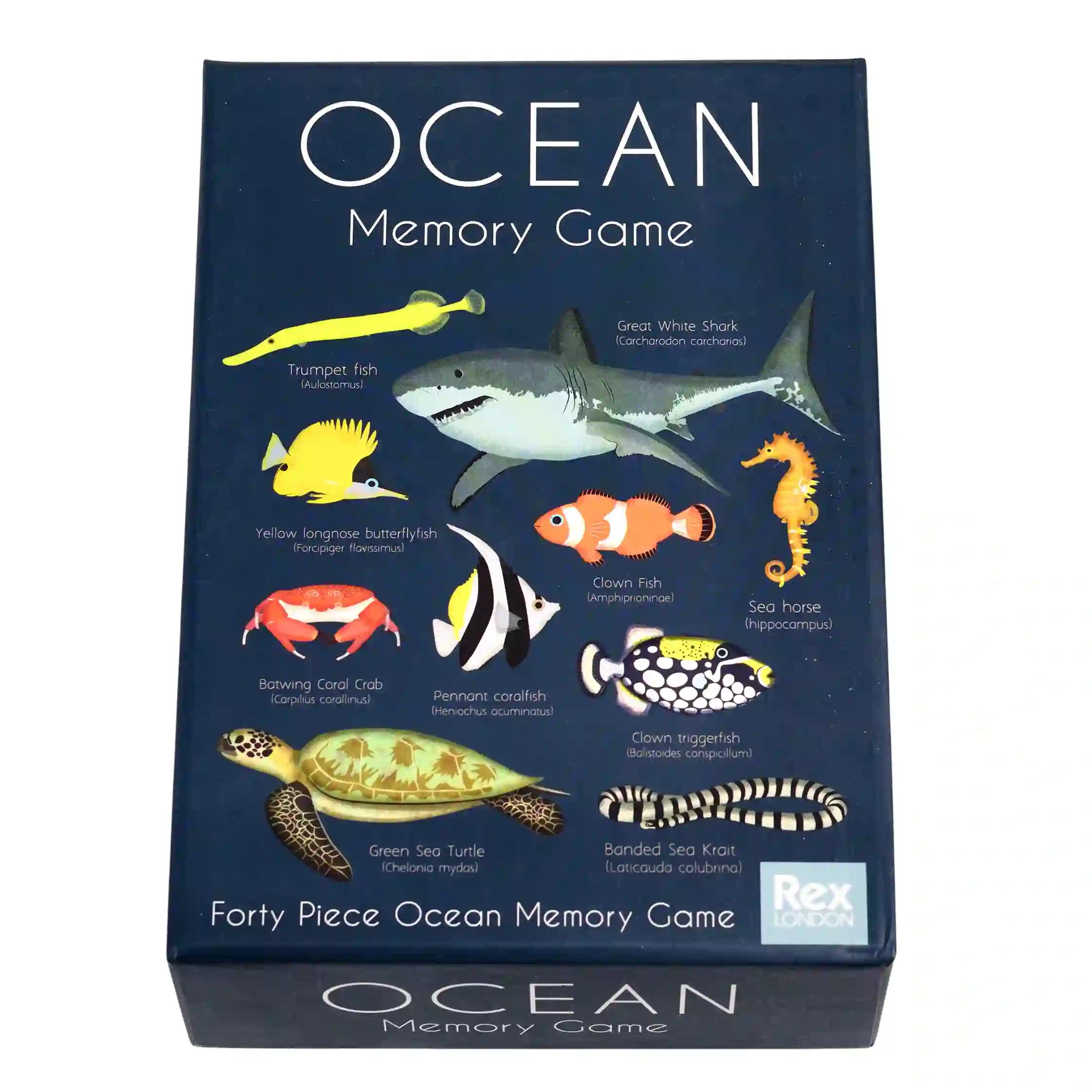 juego de memoria ocean (40 piezas)