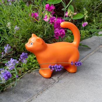 watering can (1.5ltr) - cat watering can (1.5ltr) - cat
