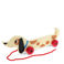 wooden pull toy - charlie the sausage dog