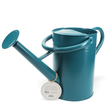 arrosoir en acier galvanisé 4,5l - bleu arrosoir en acier galvanisé 4,5l - bleu