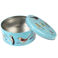 cake storage tin - garden birds