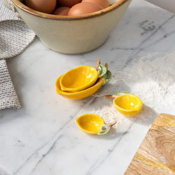 ceramic measuring spoons (set of 4) - lemons