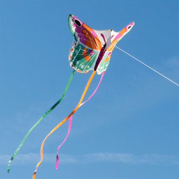 riesendrachen - butterfly