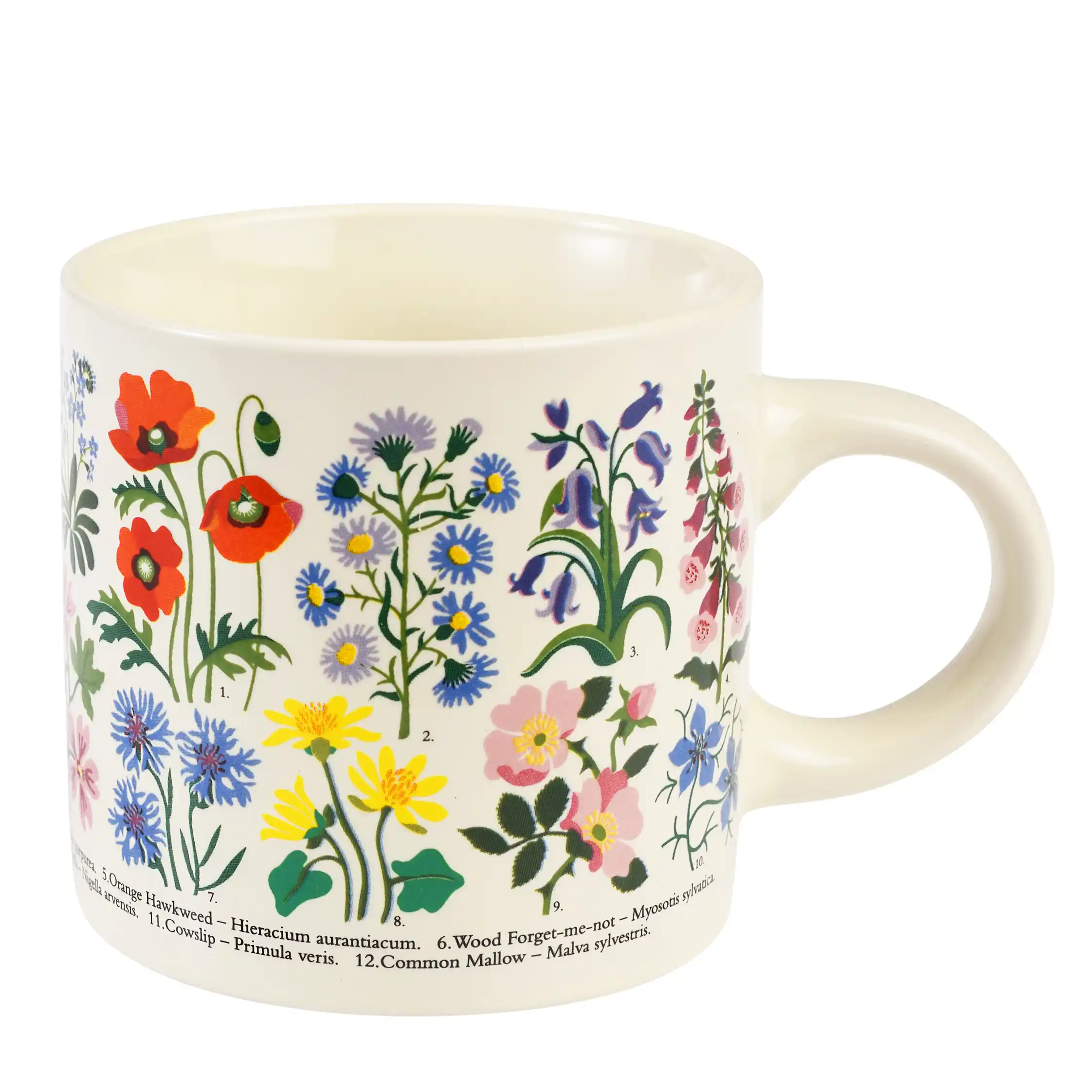 taza wild flowers