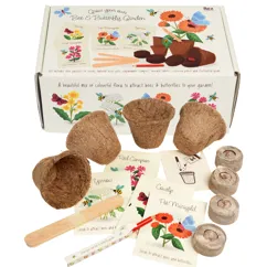 flower growing kit - bee and butterfly
