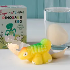 hatch your own dinosaur egg hatch your own dinosaur egg