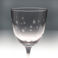 verres à vin gravés étoiles 250ml (lot de 2) - rose