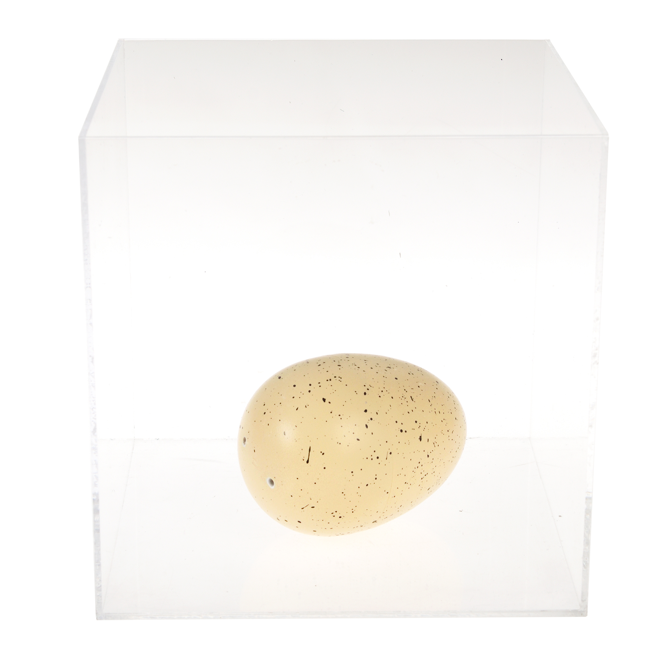 giant hatching dinosaur egg - prehistoric land