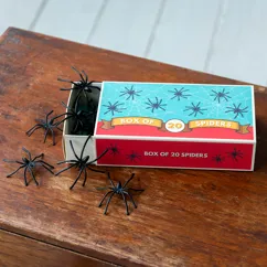 boîte de 20 araignées