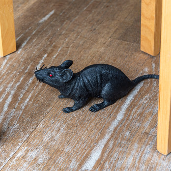 scary rat toy