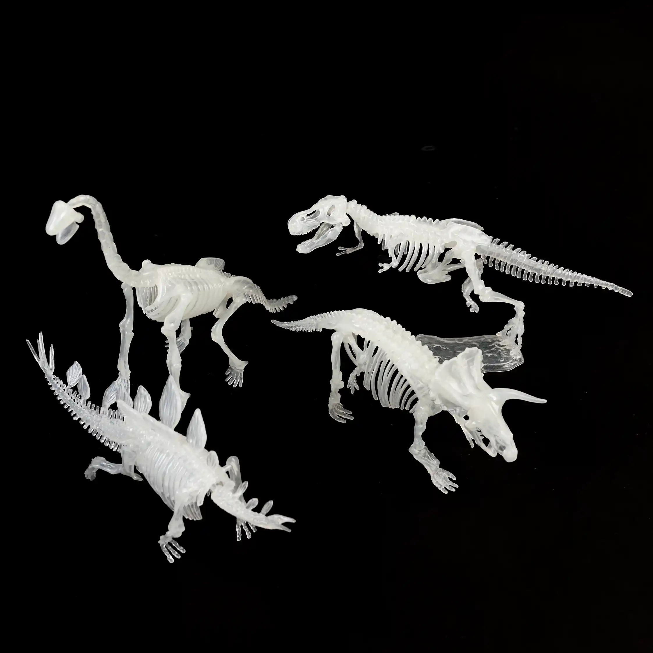 kit de esqueleto de dinosaurio surtido
