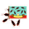 box of 10 cockroaches