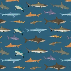 wrapping paper sheets - sharks