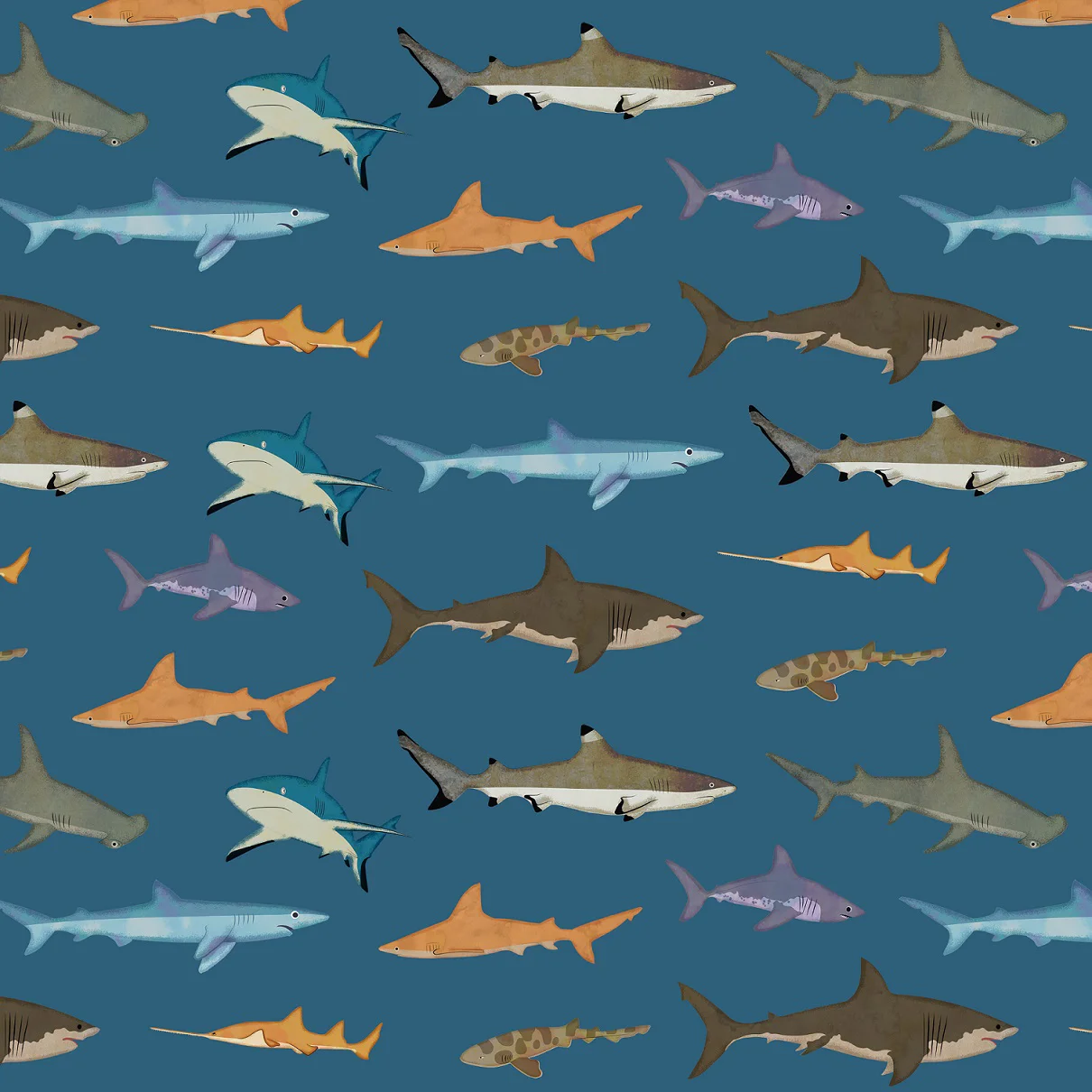 hojas de papel de regalo - sharks