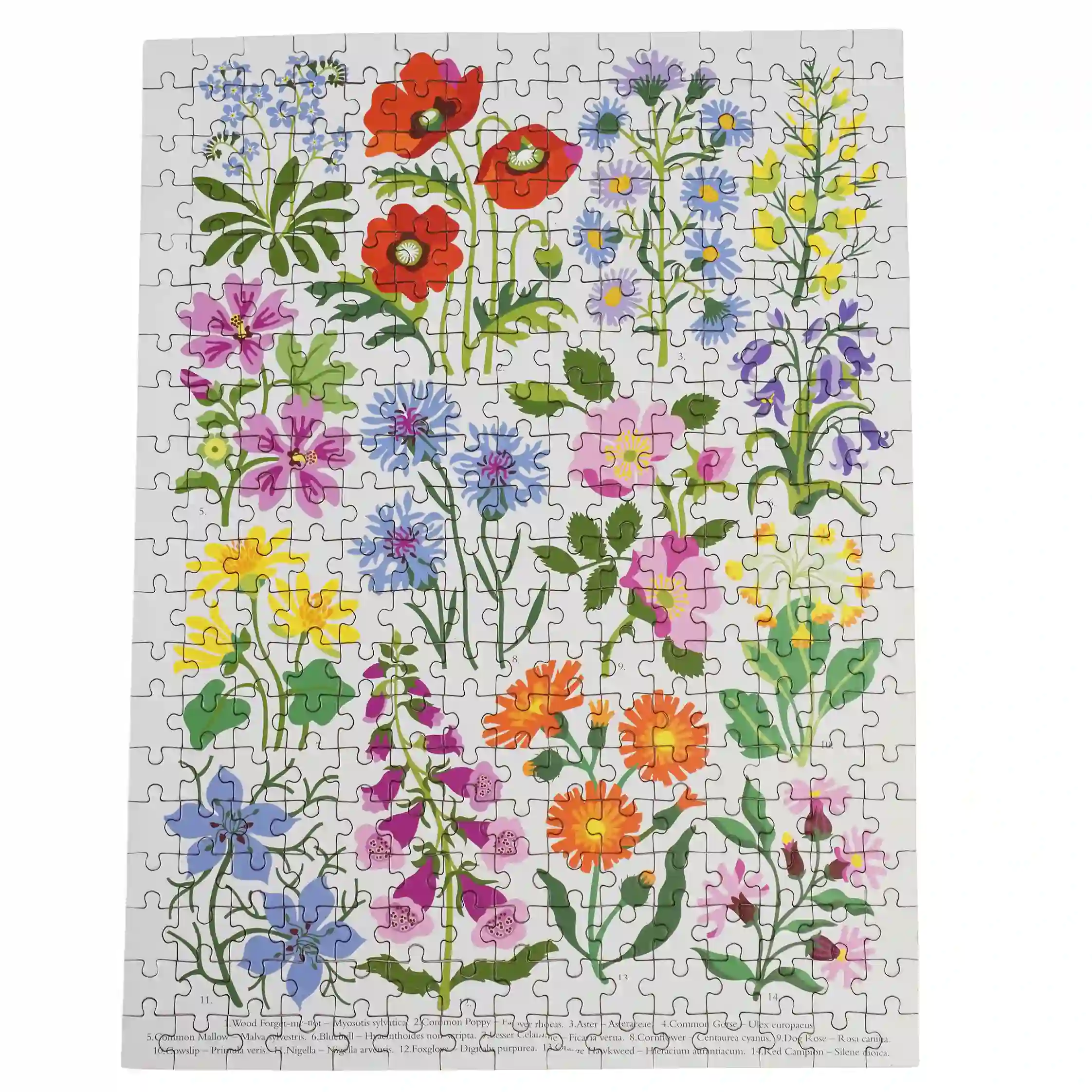 puzzle 300 pièces wild flowers