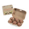 saatkugeln (6-er box) - your garden