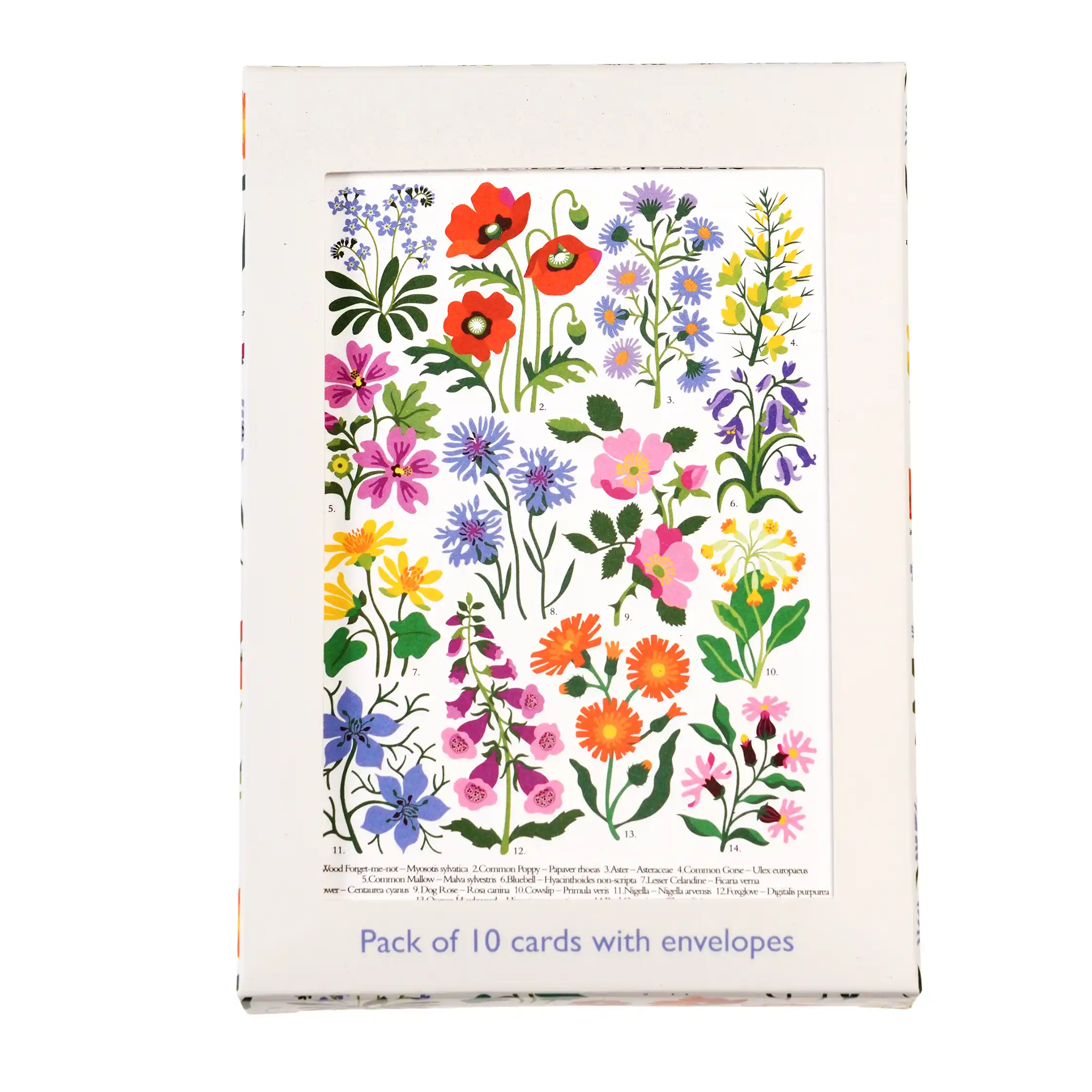 tarjetas de felicitación wild flowers (paquete de 10)