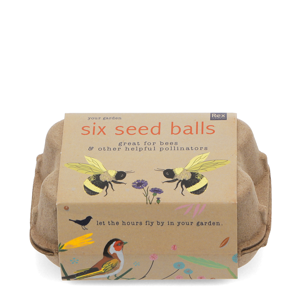 seed balls (box of 6) - your garden