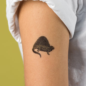 temporary tattoos - prehistoric land