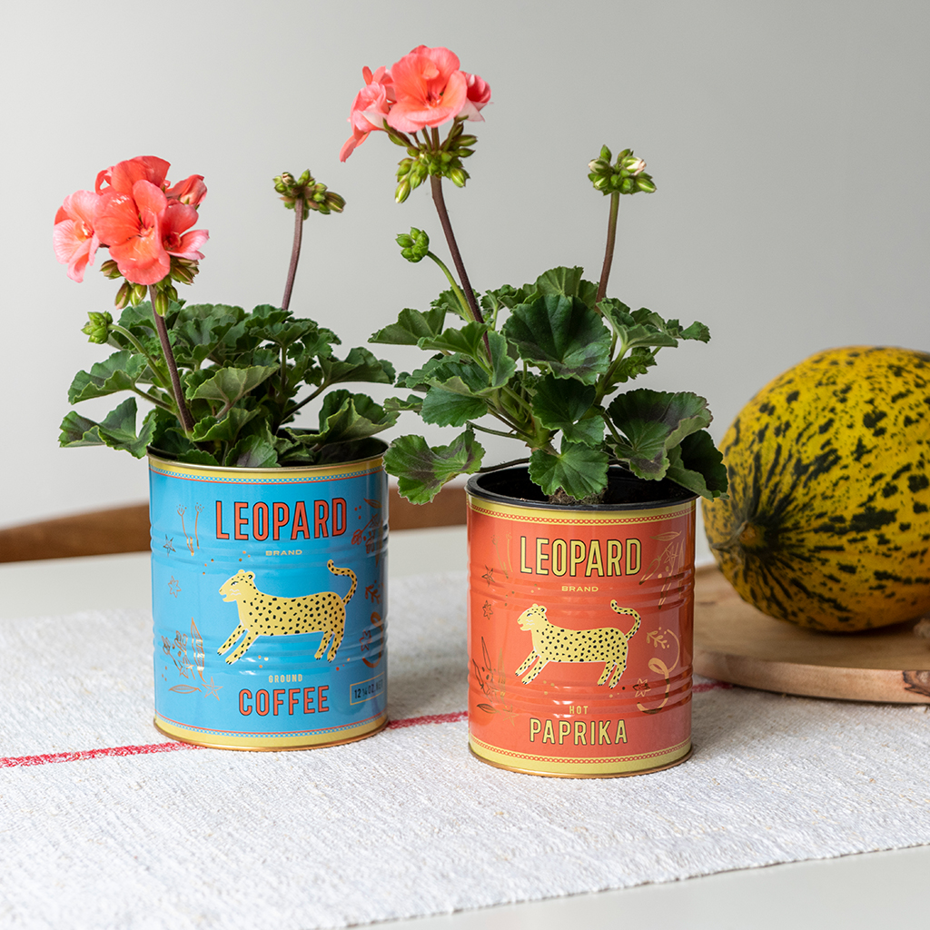 medium storage tins (set of 2) - leopard