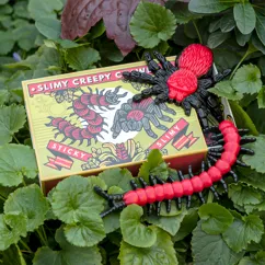 schachtel mit 2 schleimigen kriechtieren schachtel mit 2 schleimigen kriechtieren