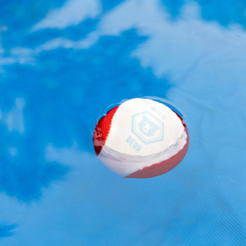 bouncy water ball - wild bear