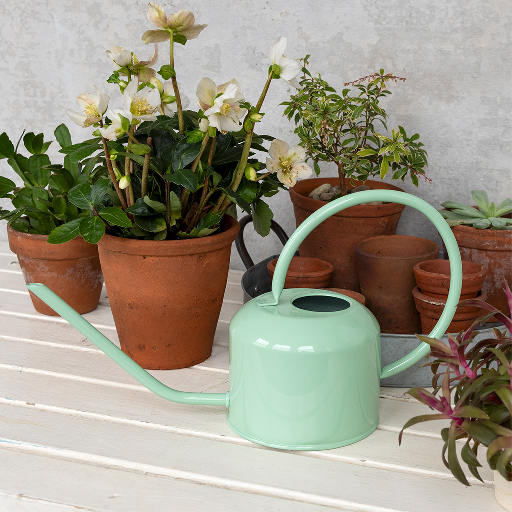 metal watering can 1ltr - pistachio green