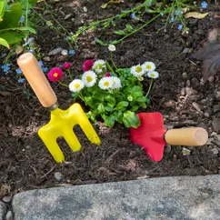 herramientas de jardinería- ladybird