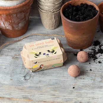 saatkugeln (6-er box) - your garden saatkugeln (6-er box) - your garden