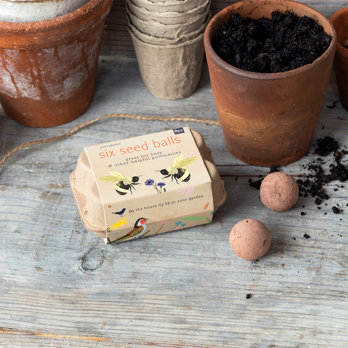 saatkugeln (6-er box) - your garden