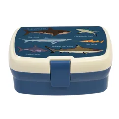 lunchbox mit herausnehmbarem fach sharks