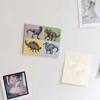 fridge magnet - prehistoric land