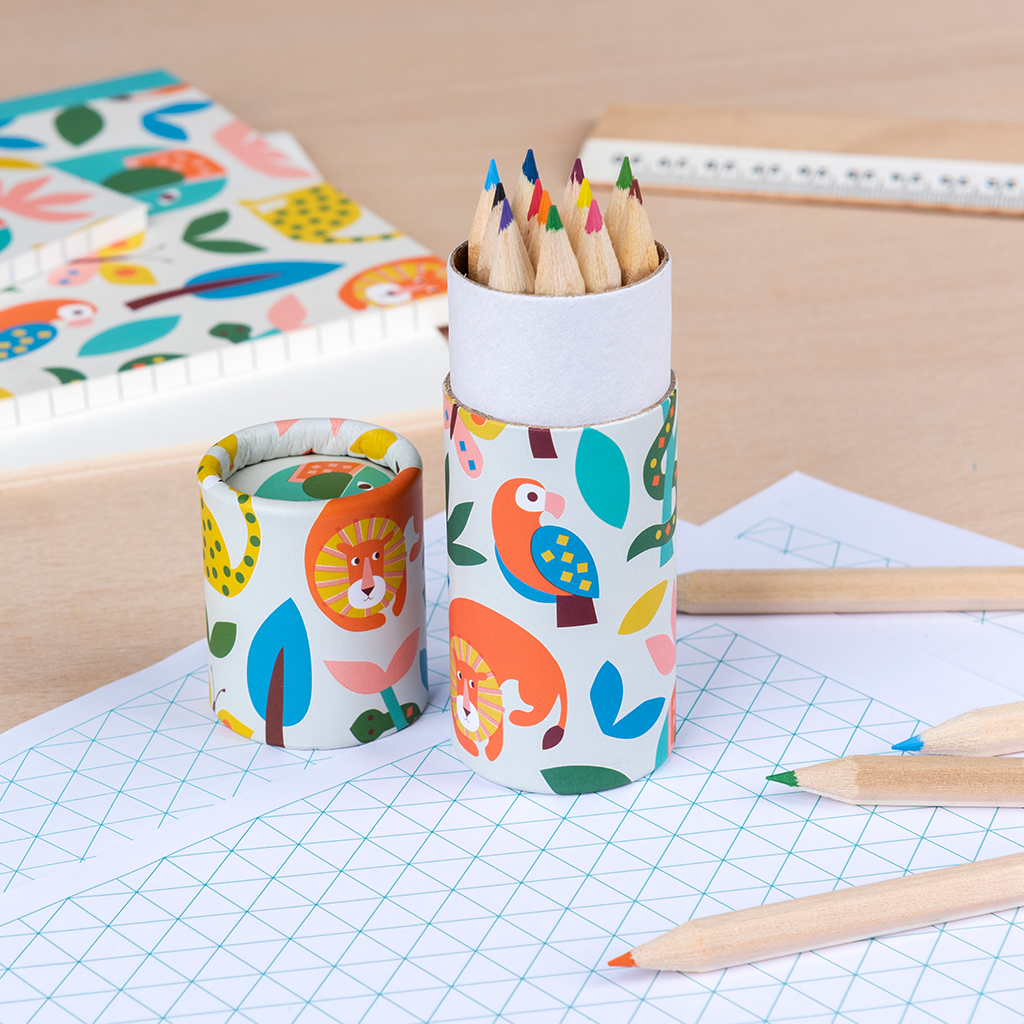 crayons à colorier wild wonders (ensemble de 12)